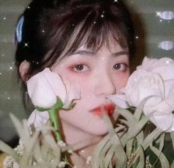 失落的王子